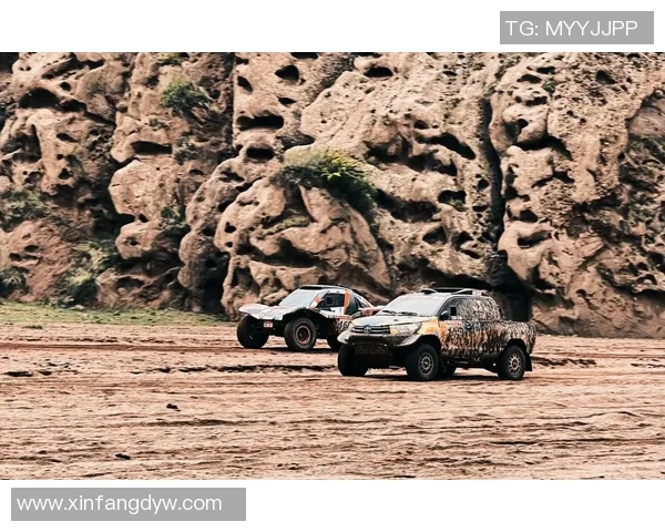 越野拉力赛的激情与挑战探秘，感受速度与冒险的完美结合