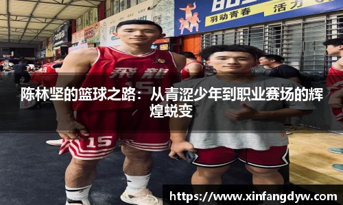 球速体育官网版