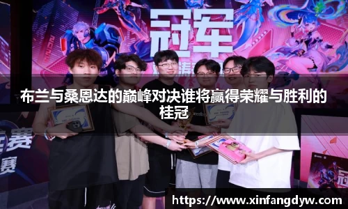 球速体育官网入口