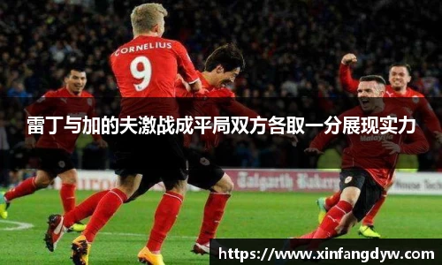 雷丁与加的夫激战成平局双方各取一分展现实力